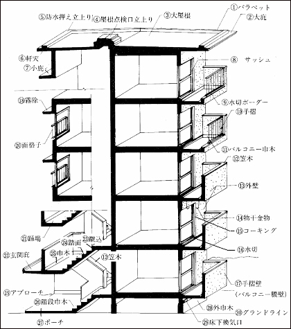 建物断面