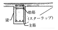 肋筋